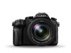 Panasonic Lumix DMC-FZ2000...