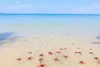 North Phu Quoc Discovery:...
