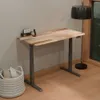 Vari Electric Standing Desk...