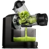Philips Viva Cold Press Slow...