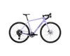 Salsa Warbird C Rival GX...