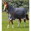 Premier Equine Buster 150g...