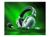 Razer BlackShark V2 Pro...
