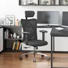 Ergonomic Office Chair, with...