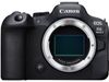 Canon EOS R6 Mark II (camera...