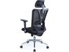 Ticova Ergonomic Office Chair...