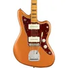 Fender Troy Van Leeuwen...