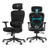 Axion, Ergonomic Hybrid Chair