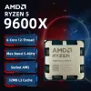 AMD Ryzen 5 9600X CPU 100%...