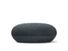 Nest Mini (Charcoal)