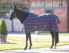 Shires Tempest Plus 100...