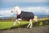 Mackey Equi-Sential Turnout...