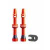 CushCore Alloy Tubeless...