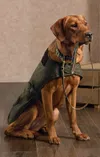 Barbour Wax Dog Coat - Olive