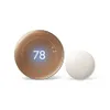 Google Nest Learning...