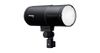 Profoto D30 500ws Monolight