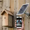 Solar Powered Birdhouse with...
