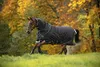 Horseware Amigo Bravo 12 Plus...
