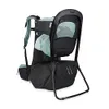 Thule Sapling Child Carrier...