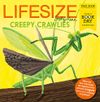 Lifesize Creepy Crawlies: A...