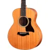 Taylor GS Mini-e...
