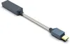 iFi Go Link 2 Max portable...