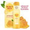 Burt's Bees 24-Hour Hydrating...