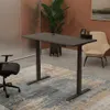Vari Electric Standing Desk...