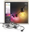 Philips Hue Festavia Bulb...