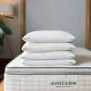 Avocado Green Pillow