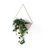 Umbra Trigg Hanging Planter...