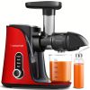 TEMU Juicer Machines, Amzchef...