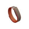 Google Fitbit Air Special...