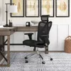 Ergonomic Office Chair, Mesh...