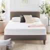 Wayfair Sleep 10" Medium...