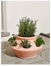 Herb Babylon Planter