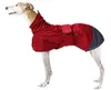 Morezi Greyhound Lurcher...