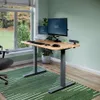 Vari Electric Standing Desk...