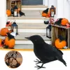 TUITOONM Crows Realistic...
