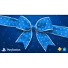 Sony PlayStation Store (Bow)...