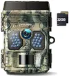 Amazon.com: Wolfang Solar...