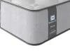 Sealy Newton Posturepedic...