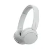 Sony WH-CH520 Wireless...