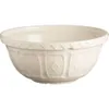 Mason Cash Earthenware Mixing...
