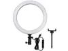 Godox LR120 12' Bi-Color LED...