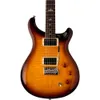 PRS SE DGT Birds Electric...