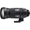 Sigma 150-600mm F5-6.3 DG DN...