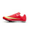 Nike Men's Zoom Rival Sprint...