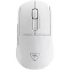 PC Accessory:  Mouse - Turtle...