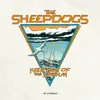 The Sheepdogs - Keep Out Of...